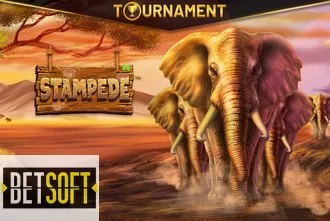 Stampede